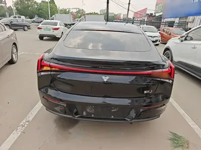 NETA Neta S