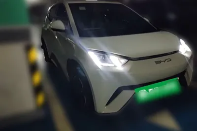 BYD Seagull
