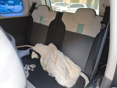 CHANGAN NEVO Lumin