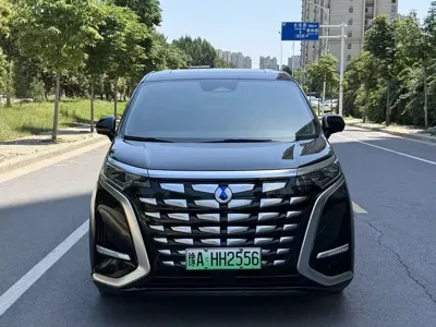 Denza Denza D9