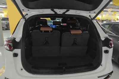 BYD Tang New Energy