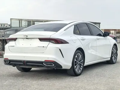 GAC Motor Shadow Leopard