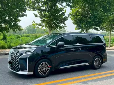 Denza Denza D9