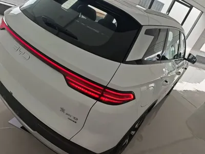 BYD Pro New Energy
