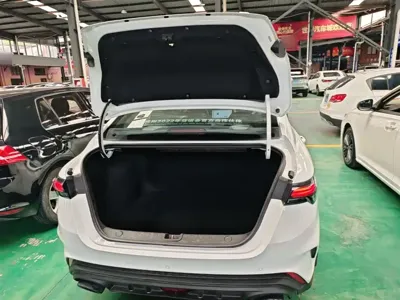 Geely Binrui