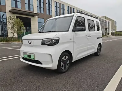 Wuling Zhiguang EV