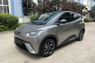 BYD Seagull