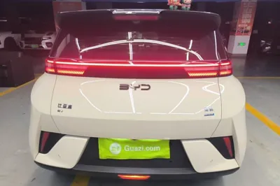 BYD Seagull