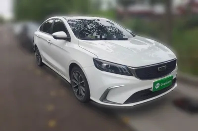 Geely Auto Binray