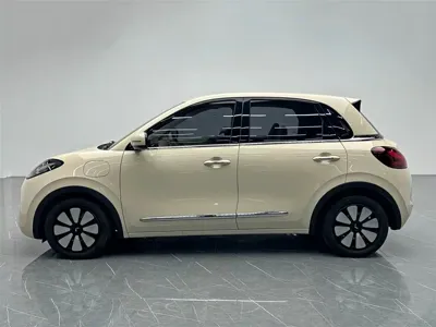 Wuling Bingo