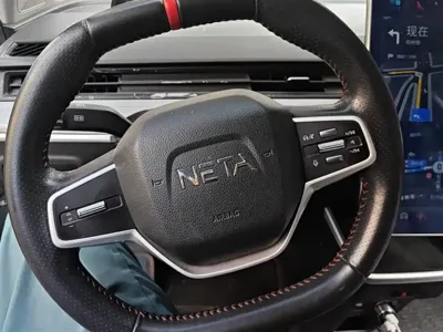 NETA Neta V