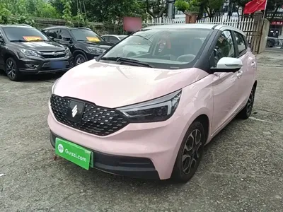 JMEV EV3