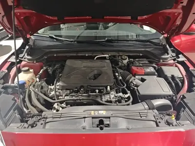 Ford Focus Active