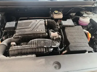 BYD Pro New Energy