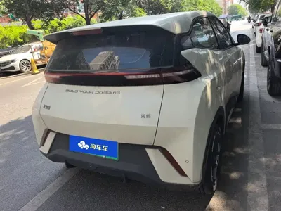 BYD Seagull