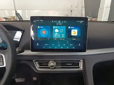 BYD Pro New Energy
