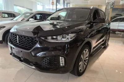 WEY VV6
