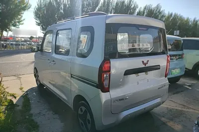 Wuling Zhiguang New Energy