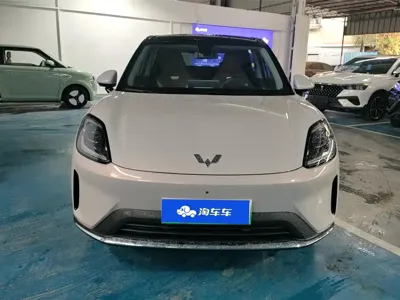 Wuling 缤果S