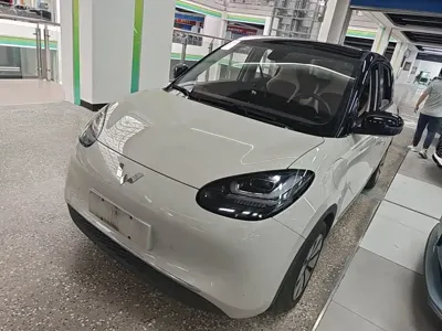 Wuling Bingo