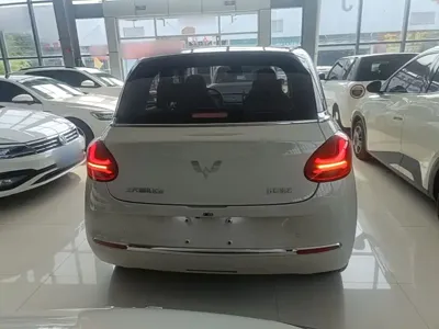 Wuling Bingo