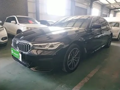 BMW 5 Series New Energy