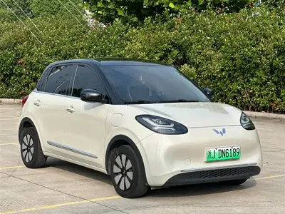 Wuling Bingo
