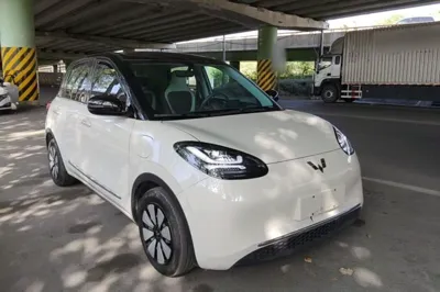 Wuling Bingo