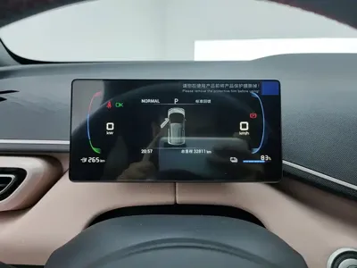 BYD Seagull
