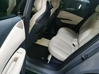Lynk & Co Z20