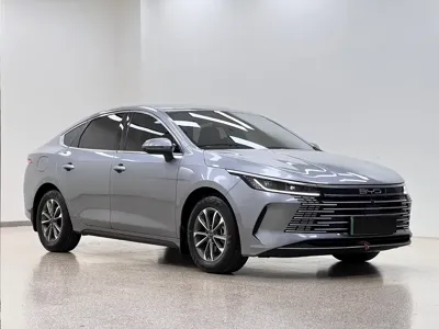 BYD Destroyer 05