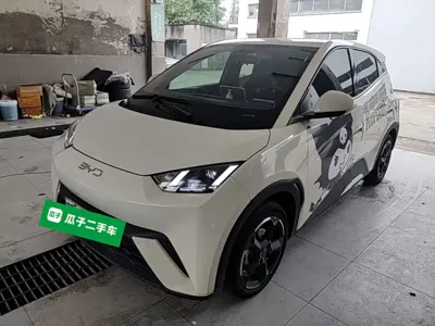 BYD Seagull