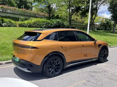 Zeekr 7X