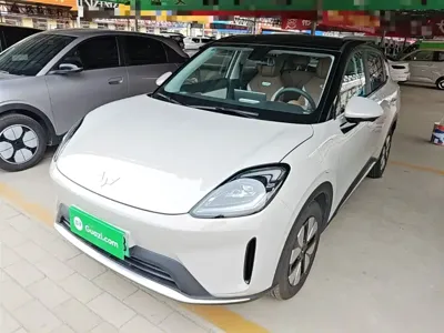 Wuling 缤果S