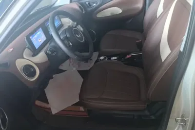Wuling Bingo
