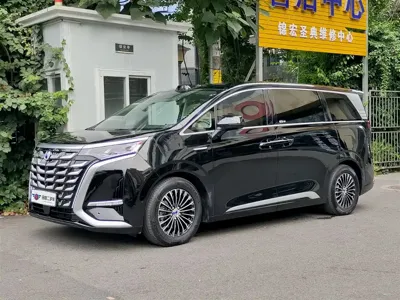 Denza Denza D9