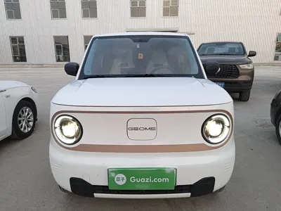 Geely Galaxy Panda