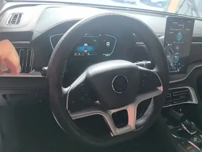 BYD PLUS