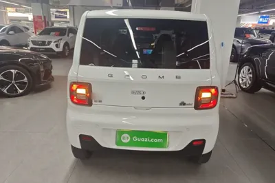 Geely Galaxy Panda