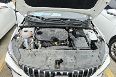 Geely Auto Binray