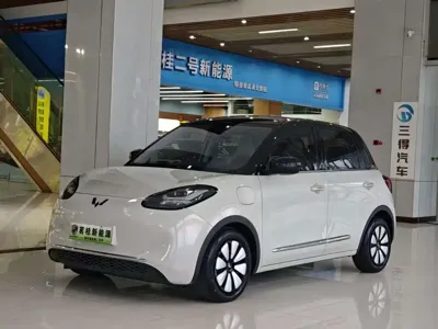 Wuling Bingo