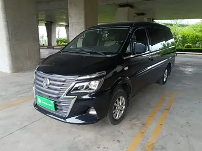 Fengxing Lingzhi