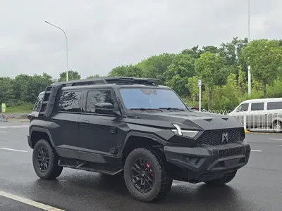 Mengshi Mengshi 917