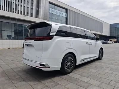 Denza Denza D9