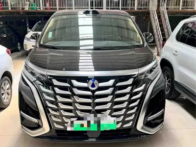 Denza Denza D9