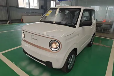 Geely Galaxy Panda