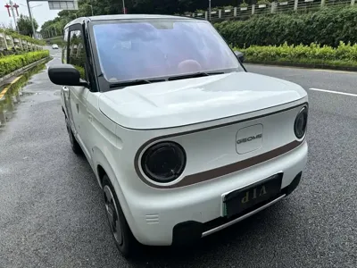 Galaxy Panda
