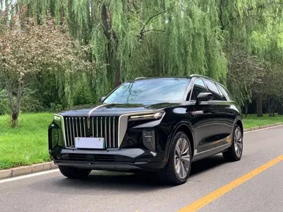 Hongqi Hongqi E-HS9
