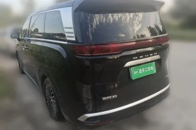 Denza D9