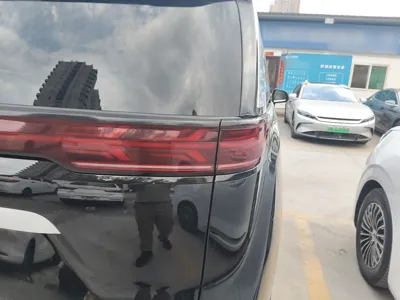 Denza D9